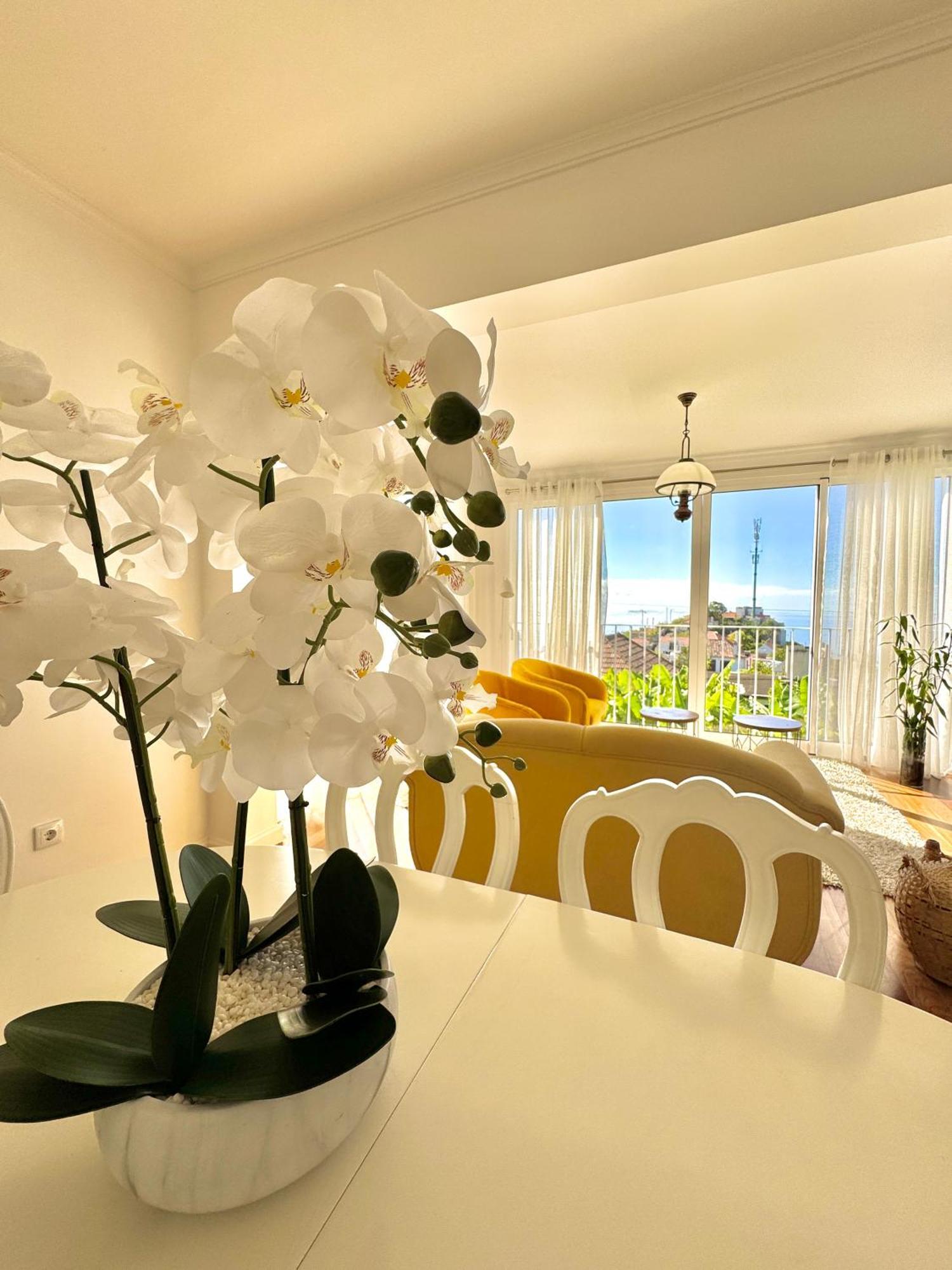 A Velha Casa Caboz Apartment Ponta do Sol  Ngoại thất bức ảnh